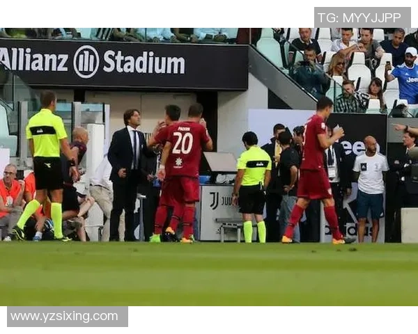 上海足球队的崛起与发展探索：从历史到未来的全面分析与展望