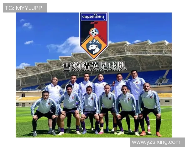 西藏足球员的崛起与挑战：探索高原之上的足球梦想与未来发展