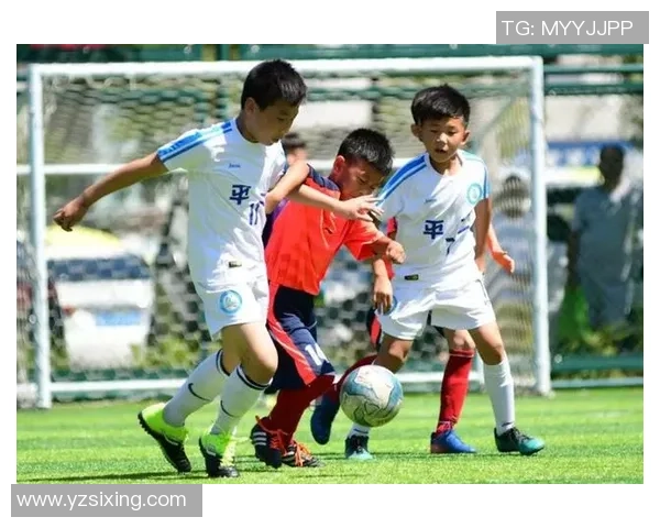 足球比赛的完整流程解析从开场到终场的每一个环节详解