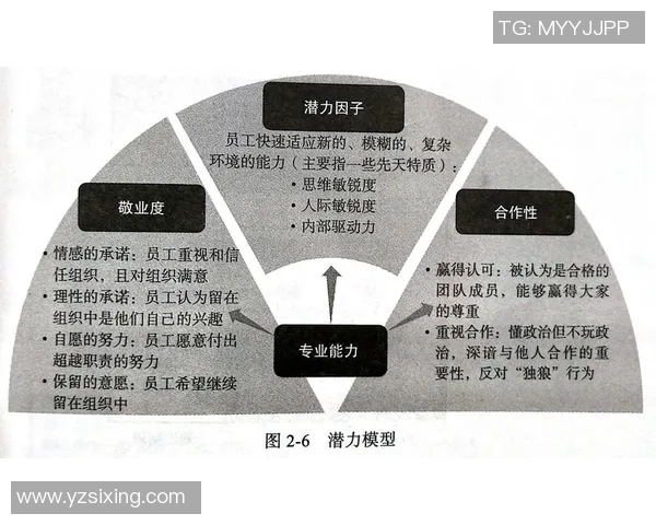 足球并步：探索团队协作与个人技术的完美结合之道