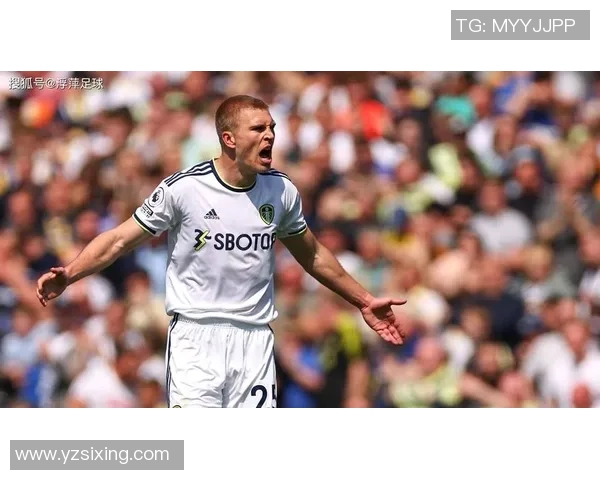 足球打劫事件揭秘：背后的黑暗交易与球迷的无奈心声